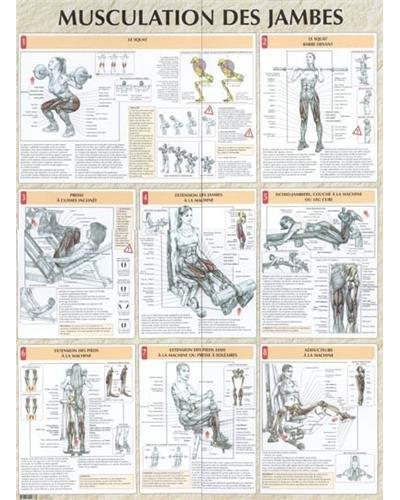 Musculation jambes poster