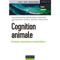 Cognition animale