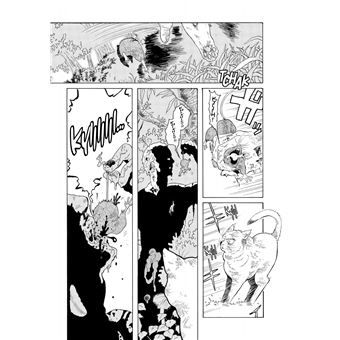 Walking Cat - Tome 1