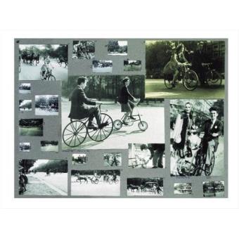 Lartigue-l-album-d-une-vie.jpg