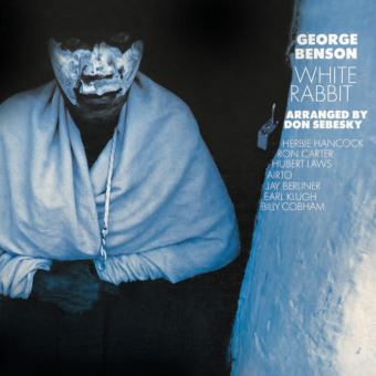 White rabbit