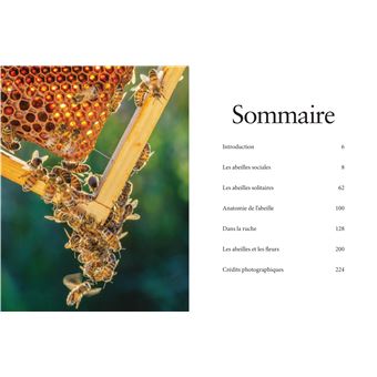 Les Abeilles. Vaillantes et essentielles