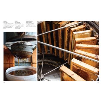 Les Abeilles. Vaillantes et essentielles