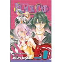 Black Cat, Vol. 8