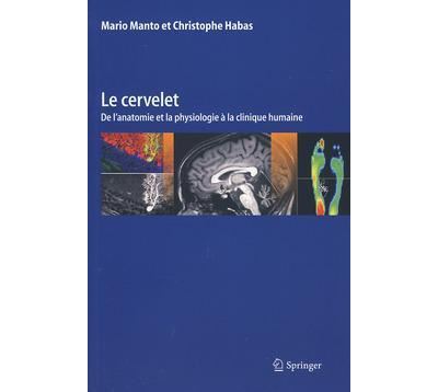 Le cervelet