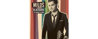 Blackbird The Beatles Album