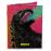 Coffret Godzilla : The Showa-Era Films 1954–1975 Blu-ray