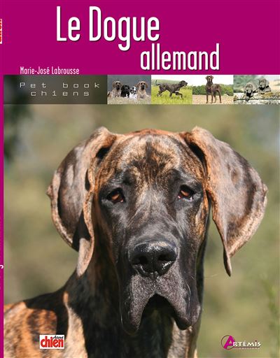Dogue allemand