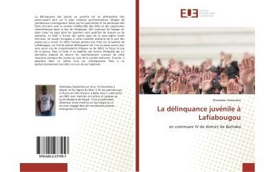 La délinquance juvénile à Lafiabougou