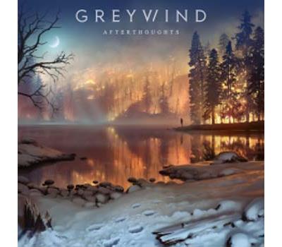 AFTERTHOUGHT/LP LTD ED