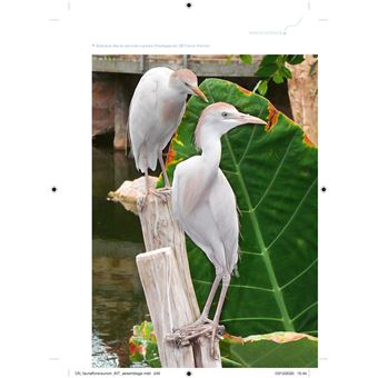 Faune et flore de La Réunion