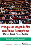 Pratiques et usages du film en Afriques francophones