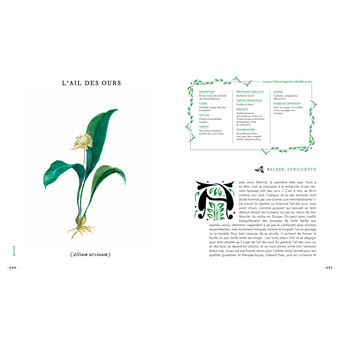 Grimoire d'une cueilleuse