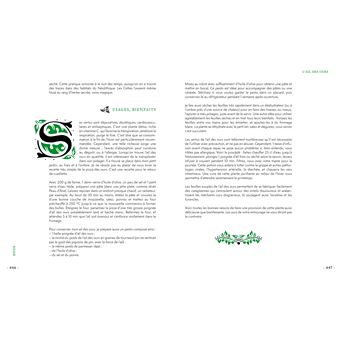 Grimoire d'une cueilleuse