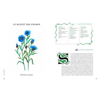 Grimoire d'une cueilleuse