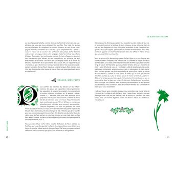 Grimoire d'une cueilleuse