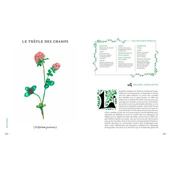 Grimoire d'une cueilleuse