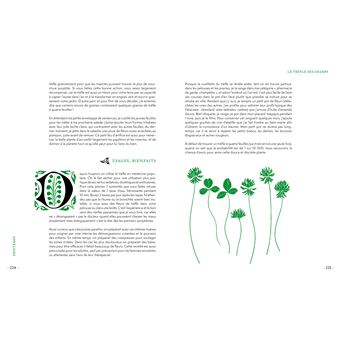 Grimoire d'une cueilleuse