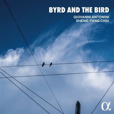 Byrd And The Bird