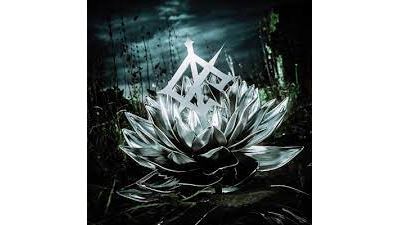 Darkbloom Vinyle Blanc et Noir