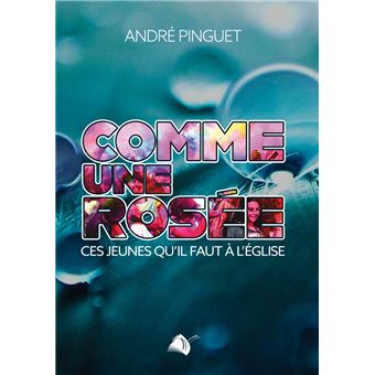 Comme une rosée : Ces jeunes qu'il faut à l'Église