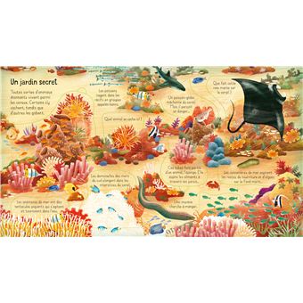 Les récifs coralliens - P'tits curieux Usborne