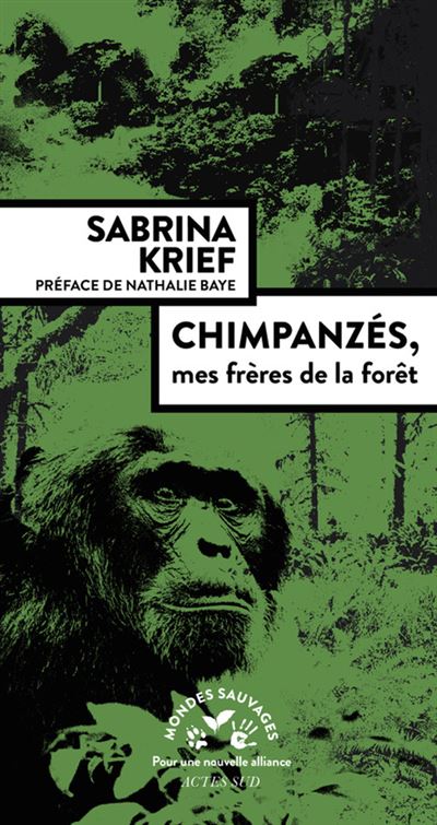 Chimpanzes mes freres de la foret