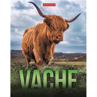 Vache