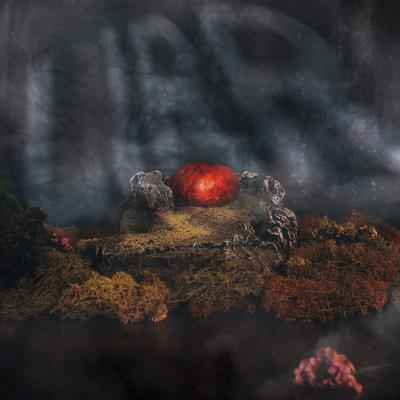 God s on our side/welcome to the jungle