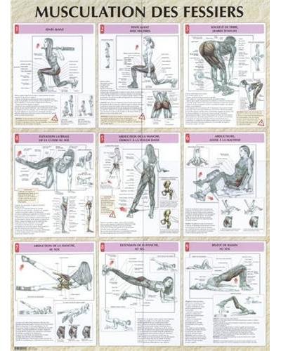 Musculation fessiers poster