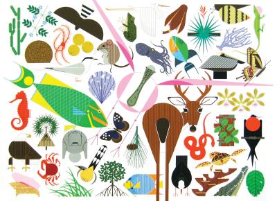 Charley Harper's Animal Kingdom