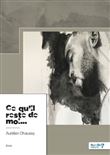 Ce qu'il reste de moi...