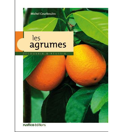 Les agrumes