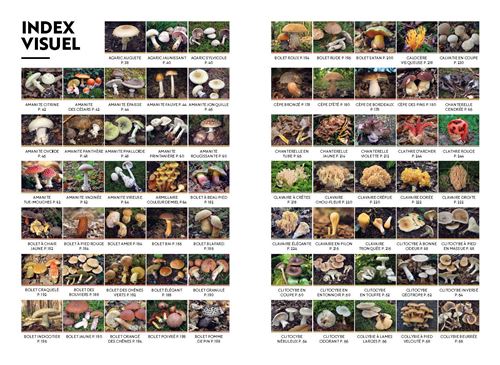 Guide complet des champignons et recettes - broché - Collectif - Achat  Livre