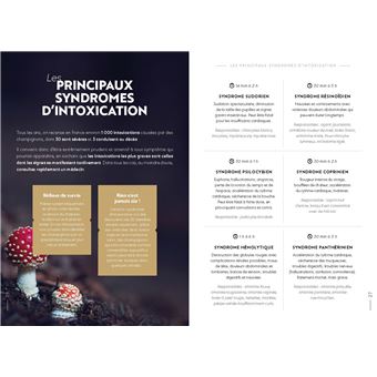 Guide complet des champignons et recettes - broché - Collectif - Achat  Livre