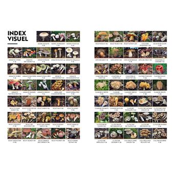 Le guide des champignons