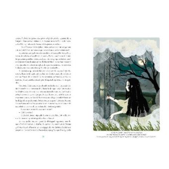 LES HAUTS DE HURLE-VENT (Texte Abrégé)