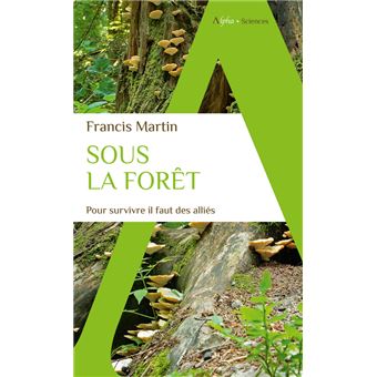 Sous la forêt