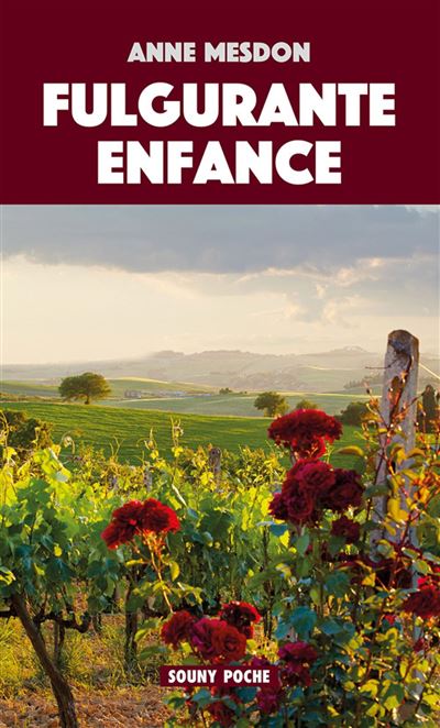 Une Fulgurante enfance - Anne Mesdon - Poche