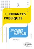 Les finances publiques en cartes mentales