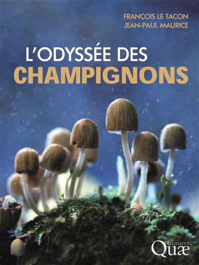 L'odyssee des champignons