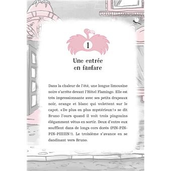 Hôtel Flamingo