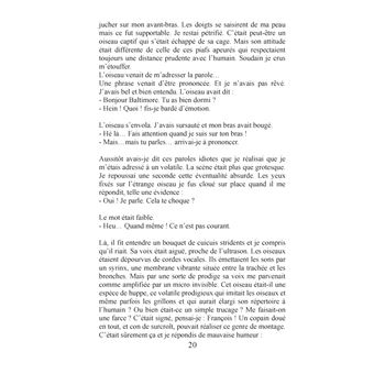 La naissance d'un commissaire