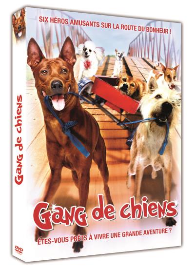 Gang de chiens DVD