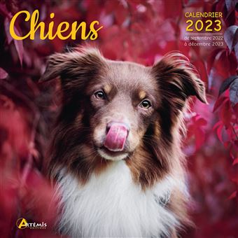 Calendrier Lunaire Sortie Animaux 2023 Calendrier Chiens 2023 - Dernier Livre De Collectif - Précommande & Date De  Sortie | Fnac