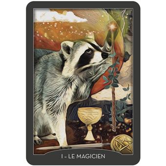 Coffret Tarot des gardiens de la nuit