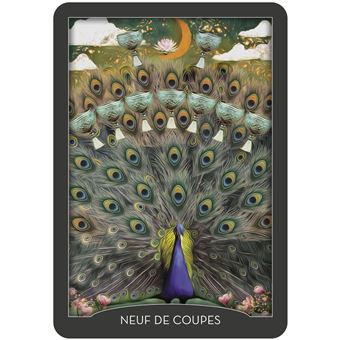 Coffret Tarot des gardiens de la nuit