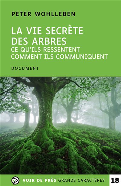 La vie secrète des promo arbres