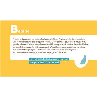 Les chats de A à Z
