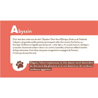 Les chats de A à Z